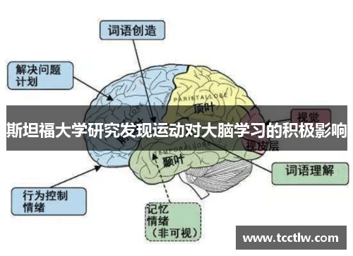 斯坦福大学研究发现运动对大脑学习的积极影响